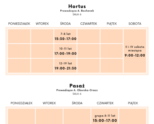 Plan zajęć na rok szkolny 2025/2026